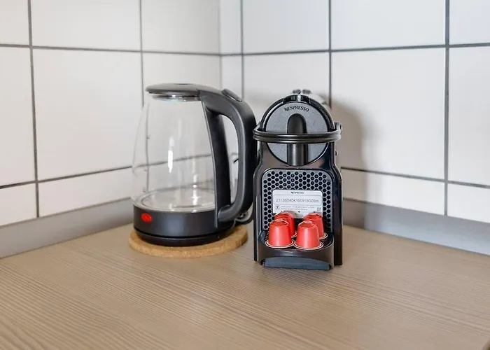 Wunderschoene Direkt Am Rhein Appartement Neuwied