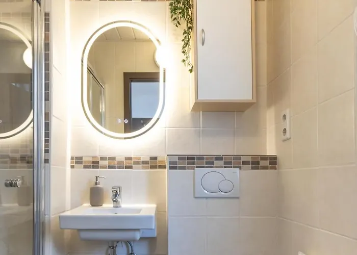 Wunderschoene Direkt Am Rhein