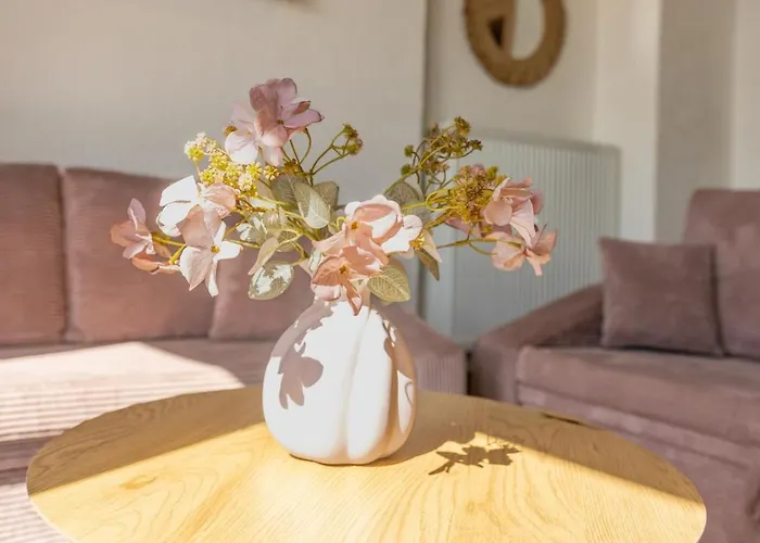 Wunderschoene Direkt Am Rhein