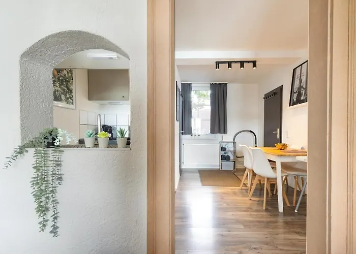 Wunderschoene Direkt Am Rhein Appartement