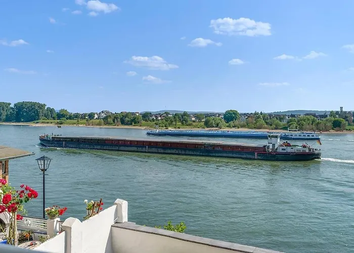 Wunderschoene Direkt Am Rhein Appartement *