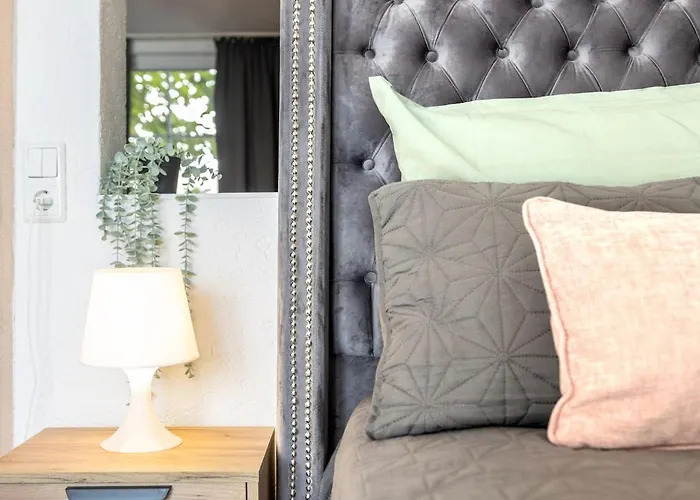 Wunderschoene Direkt Am Rhein Neuwied