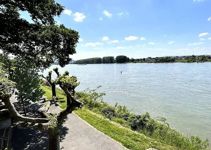 Wunderschoene Direkt Am Rhein Appartement *