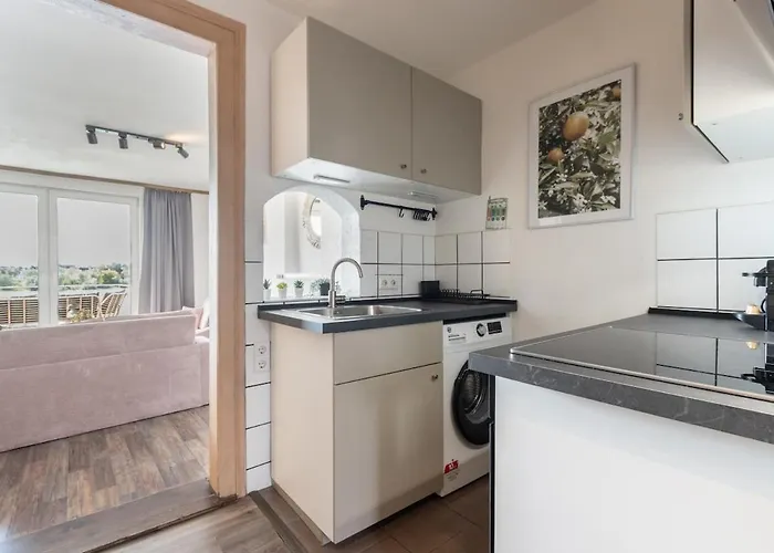 Wunderschoene Direkt Am Rhein Appartement *